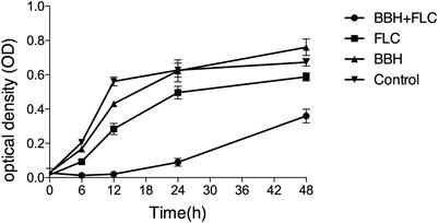 Synergistic Effect of Berberine Hydrochloride and Fluconazole Against Candida albicans Resistant Isolates